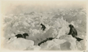 Image of Teams in rough ice on the Polar Sea